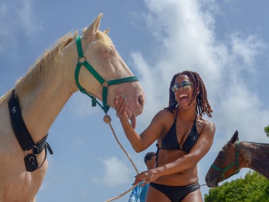 乗馬体験　熱帯林やビーチ沿いを散歩＆馬と一緒に海水浴＜英語ガイド／プンタカナ市内発着＞