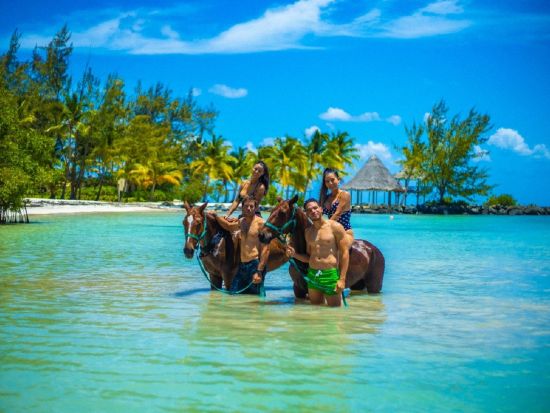 乗馬体験　熱帯林やビーチ沿いを散歩＆馬と一緒に海水浴＜英語ガイド／プンタカナ市内発着＞