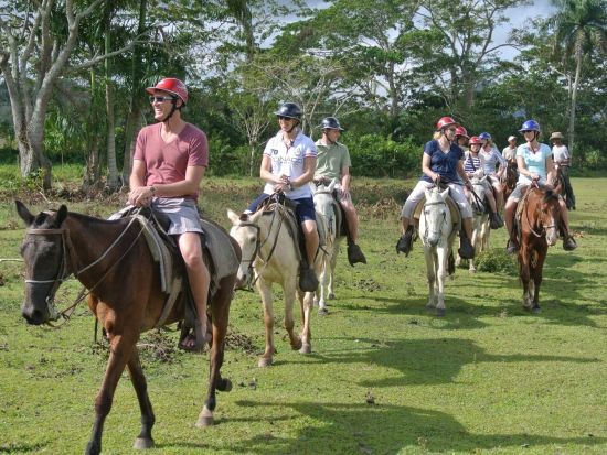 乗馬体験　熱帯林やビーチ沿いを散歩＆馬と一緒に海水浴＜英語ガイド／プンタカナ市内発着＞
