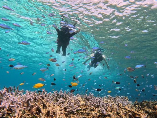 バラス島シュノーケリング＆キャニオニング　海と川満喫1日プラン！選べるバラス島シュノーケリング半日プランも！＜上原地区送迎無料／写真無料／西表島＞