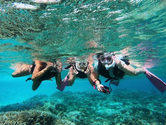 トロピカルシュノーケリング カラフルな南国のお魚とシュノーケリング！由布島観光を楽しめる1日プランも＜半日／市街地送迎可／西表島＞