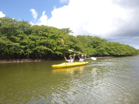 マングローブカヌー＋ピナイサーラの滝トレッキング 滝上からの雄大な景色や滝つぼから見る大迫力の滝　西表の大自然を満喫！＜昼食付／上原地区無料送迎／西表島＞
