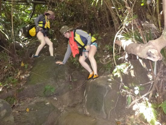 マングローブカヌー＋ピナイサーラの滝トレッキング 滝上からの雄大な景色や滝つぼから見る大迫力の滝　西表の大自然を満喫！＜昼食付／上原地区無料送迎／西表島＞