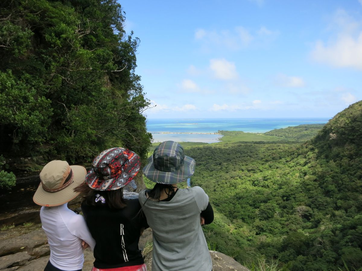 11. Mangrove Kayak + Pinaisara Falls Trekking: Explore Iriomote's Natural Wonders