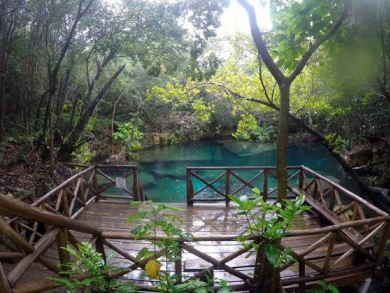 プンタカナ日帰りツアー　セノーテ＋セーリングクルーズ＋シュノーケリングを満喫！＜約3時間／英語／プンタカナ市内発着＞