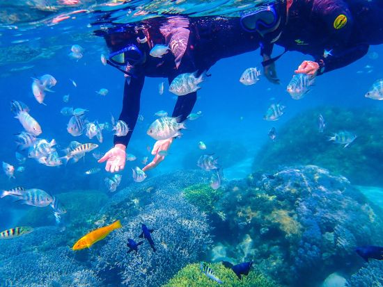 無人島シーカヤック＆シュノーケル 珊瑚礁の海へ冒険に出かけよう！＜写真・動画撮影サービス・温水シャワー＆パウダールームなど施設無料／恩納村＞by 冒険島