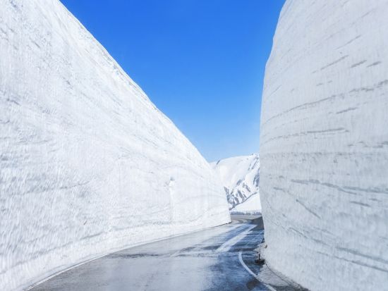 金沢発着日帰りバスツアー 立山雪の大谷ウォークじっくり散策約2時間滞在  圧巻の雪壁を楽しむ冬の絶景ルート お弁当付＜4～6月／1日＞
