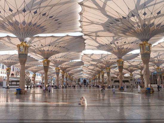 ナバテアの秘密に迫る！サウジ＆ヨルダン10泊11日大周遊ツアー ジェッダ発アンマン着＋メディナ＋アルウラ＋タブーク＋ワディラム＋アカバ＋ペトラ＜混載／英語＞