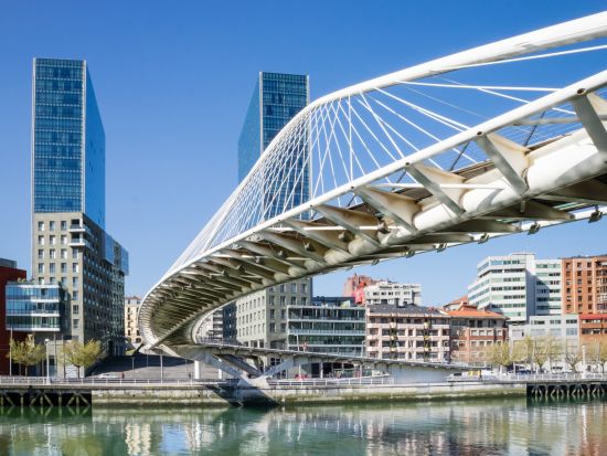 ビルバオ市内観光 見どころへご案内するウォーキングツアー＜2時間／午前or午後／英語ガイド／ビルバオ発＞