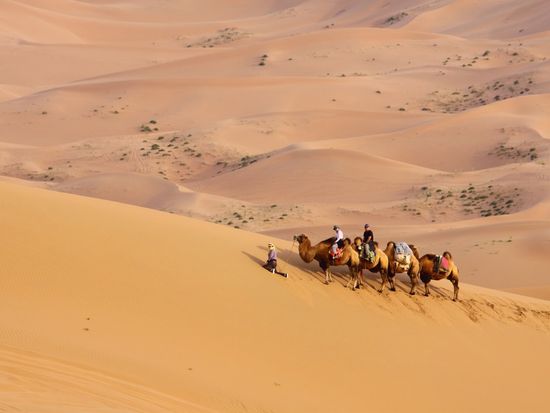 Mongolia_Gobi_shutterstock_41264254