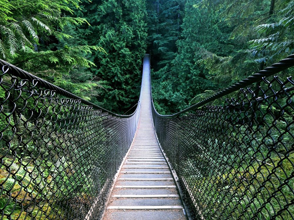Canada_Vancouver_Lynn_Canyon_Parkshutterstock_15236131 
