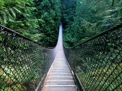 Canada_Vancouver_Lynn_Canyon_Parkshutterstock_15236131