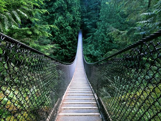 歩いてめぐるバンクーバー観光ツアー　リン渓谷などへご案内＜公共交通機関1日券付き／日本語ガイド／バンクーバー発＞