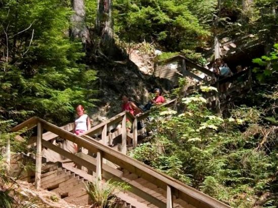 歩いてめぐるバンクーバー観光ツアー　リン渓谷などへご案内＜公共交通機関1日券付き／日本語ガイド／バンクーバー発＞