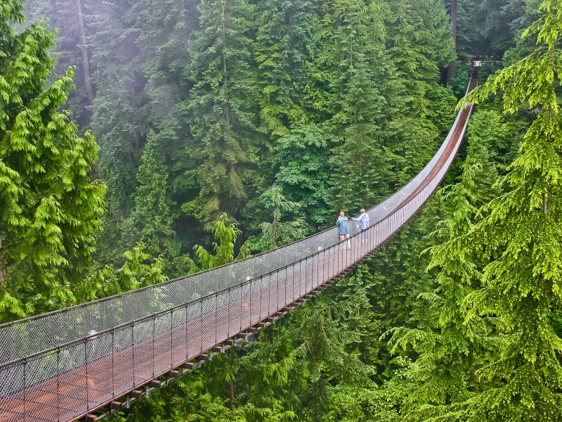 Canada_British Columbia_Vancouver_Capilano_Suspension Bridge_shutterstock_775976068