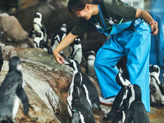 T5S9N_d70756f3-9262-4323-8e40-1c10529edab3