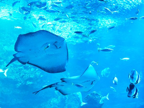 T5S9N_edeee269-ac43-4209-abc5-2d42fe7ee59d