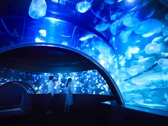 京都水族館入場チケット事前予約　沢山の生き物たちと出会える公園の中のオアシス＜京都市＞ 