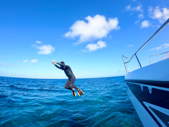 スクリーンショット 2024-03-27 164721