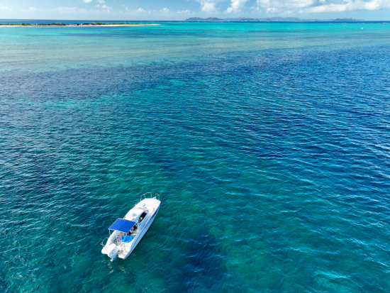 北谷発ホエールウォッチング　グループ貸切のプレイベートツアー　アメリカンビレッジ徒歩5分の港から出港！＜12月～4月／写真無料プレゼント＞