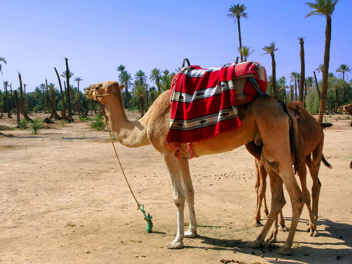 20240328013809_1038594522_1104