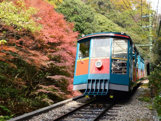 神戸六甲ミーツ・アート2026 beyond 鑑賞パスポート シダレミュージアム入場券付プランあり＜8/29～11/29＞