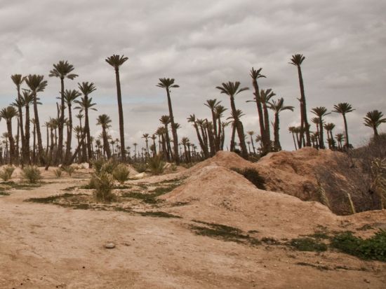 四輪バギーでタンシフトの自然を駆け巡る2時間ツアー&ミントティー付き＜送迎付き／英語／マラケシュ発＞