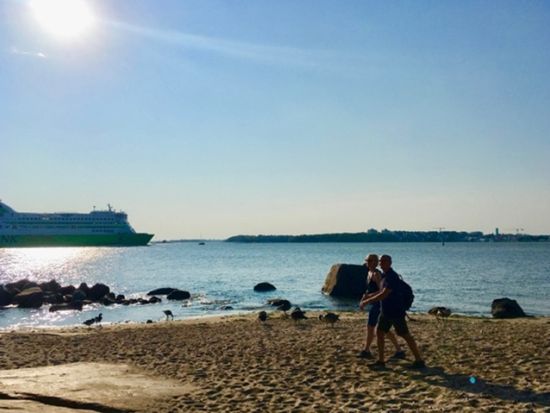 5～8月限定！フィンランド人憩いの夏の島 ピヒラヤサーリ島日帰りツアー バーベキューランチ付き＜日本語／ヘルシンキ発＞