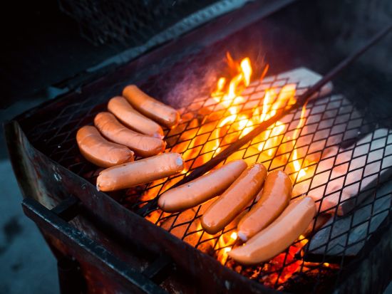 5～8月限定！フィンランド人憩いの夏の島 ピヒラヤサーリ島日帰りツアー バーベキューランチ付き＜日本語／ヘルシンキ発＞