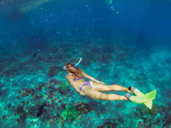 shutterstock_1902394915