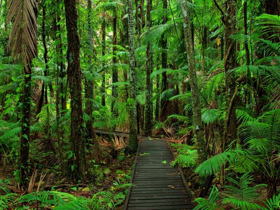 AdobeStock_736779043