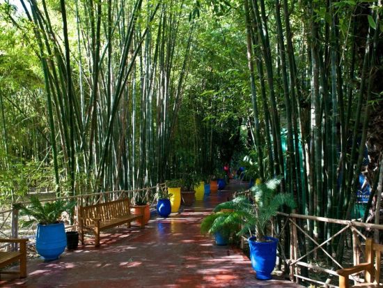 イヴ・サンローランが愛したマジョレル庭園を訪問 マラケシュ半日観光ツアー＜英語／送迎付き／マラケシュ発＞