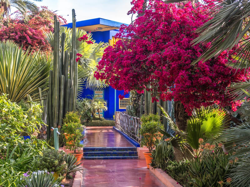 Jardin-Majorelle