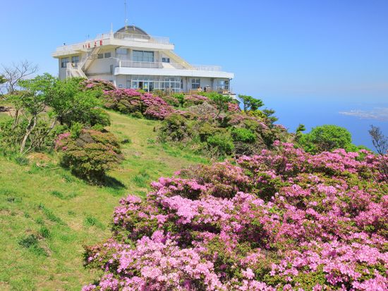 pixta_33605001_M (1)