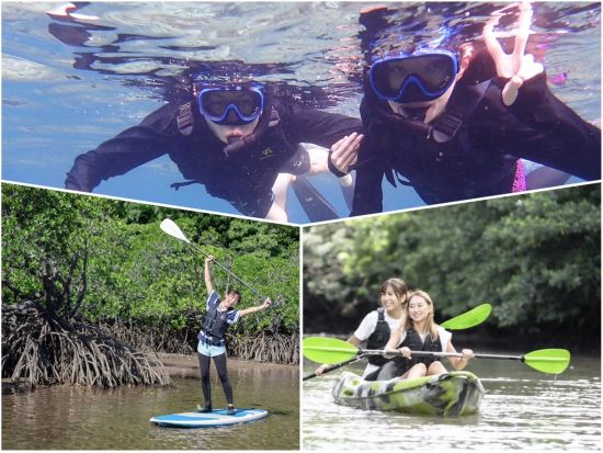 トロピカルシュノーケリング＋選べるアクテビティ 西表島を遊びつくす大満足プラン＜1日／市街地送迎可／西表島＞