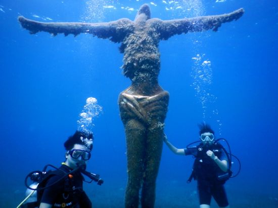 体験ダイビング  カンクン発 コスメル島チャンカナブ国立公園 島散策の時間あり＜貸切／1日／ビーチ／1ダイブ＞by クイーンエンジェル