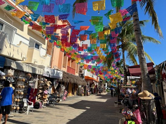 グランセノーテシュノーケリング トゥルム遺跡＋プラヤ・デル・カルメン散策付き＜貸切／1日／昼食／日本人インストラクター／水中写真プレゼント＞