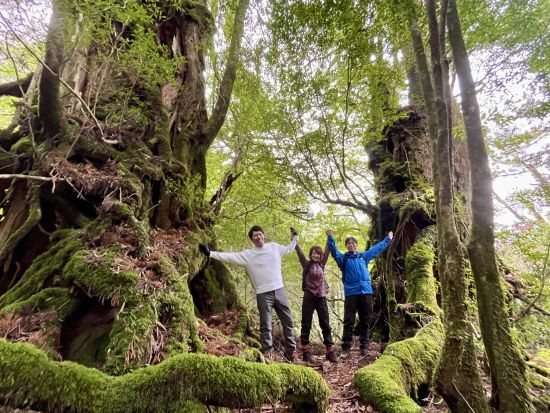 【1組限定貸切】白谷雲水峡（原生林1周）トレッキングツアー 屋久杉めぐり 登山装備レンタル＋携帯トイレ込み by屋久島ネイチャー企画フィールド 