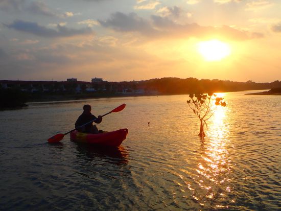 サンライズSUP or カヌーツアー 朝から爽やか感動体験！大自然を感じながら朝日を眺めよう＜約2時間市街地送迎可／石垣島発＞