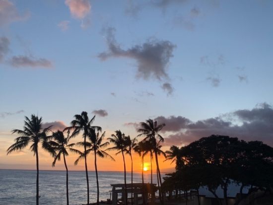 バン貸切チャーター　1時間から利用できる夜限定プラン！18:30以降の時間を有効活用できるオーダーメイドツアー＜1～7名／1～5時間／日本語ガイド＞