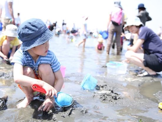 新宿発日帰りバスツアー 房総満喫 富津海岸潮干狩り120分＆マザー牧場たっぷり滞在＜おむすび付／4～6月＞