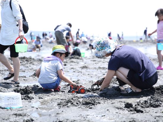 新宿発日帰りバスツアー 房総満喫 富津海岸潮干狩り120分＆マザー牧場たっぷり滞在＜おむすび付／4～6月＞