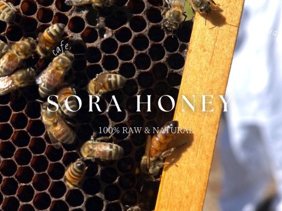 オアフ島ハレイワ産の生はちみつをホテルへお届け！選べる4種類（プレーン、マカデミアナッツ、カカオニブ、ビーポーレン（花粉玉））＜ワイキキ・アラモアナ地区＞