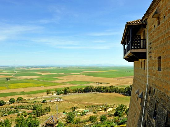 【5/30～6/7】8日間限定！ アンダルシアのひまわり畑見学ツアー カルモナのパラドール訪問付き＜半日／日本語アシスタント／セビリア発＞ byみゅう