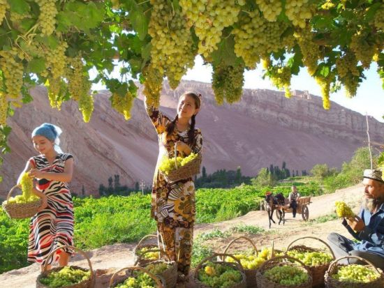 【ウルムチ発貸切ツアー】世界遺産の高昌古城、交河古城、新彊天山天池など、トルファンとウルムチの観光名所を網羅した新彊ハイライトツアー＜トルファン泊＞