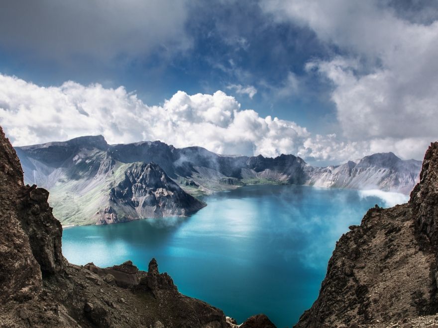 P.tianschanicus（1メス、中国新疆省ウルムチ） P.tianschanicus（1