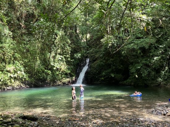【北部～名瀬送迎可】マングローブカヌー＆滝散歩1日プライベートツアー 奄美群島認定エコツアーガイド照井さんがご案内 by EVERGREEN奄美
