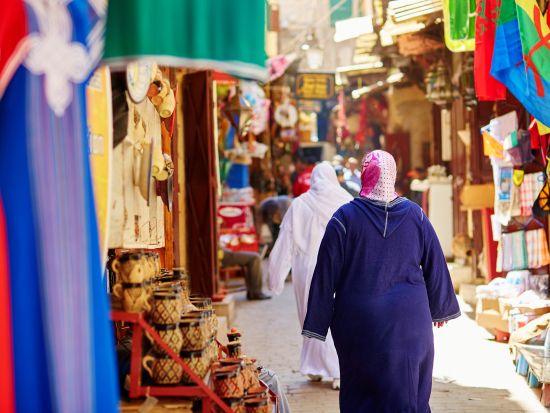 世界遺産フェズ日帰り観光ツアー＜送迎あり／英語またはフランス語／カサブランカ発＞