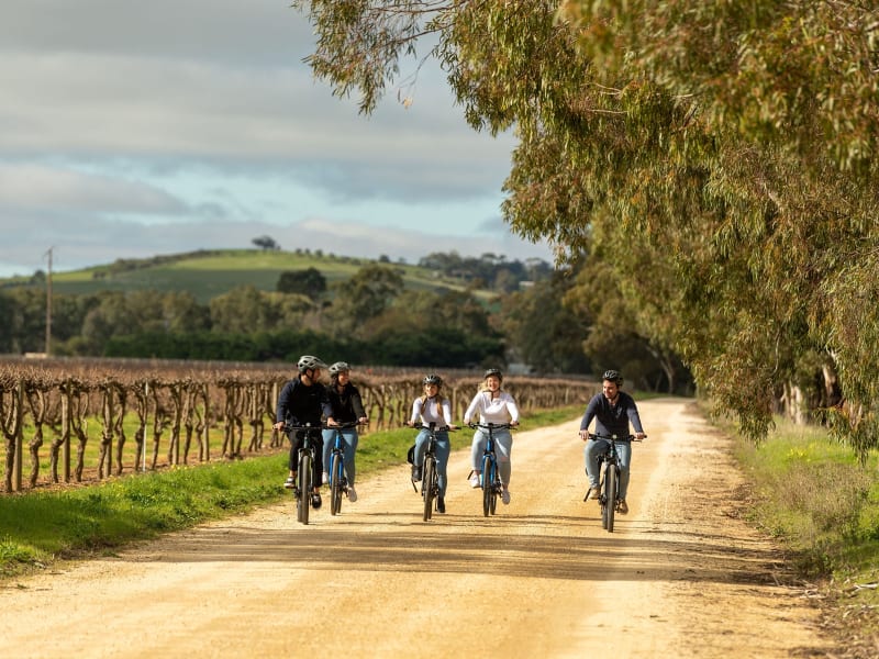 Riding through Barossa vines (2)