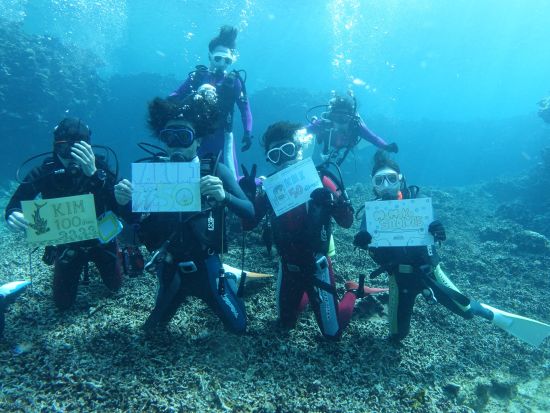 体験ダイビング 自分で泳ぐ！自分で潜る！ゆっくり時間を使ってプチ本格ダイビングを楽しもう！＜10歳から参加可／昼食付き／石垣島市街地送迎可＞